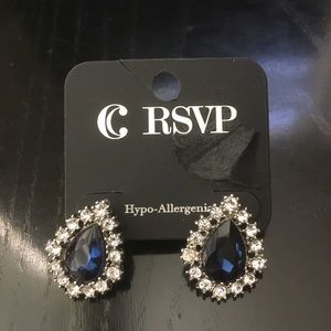 Blue & Silver Dazzle Studs